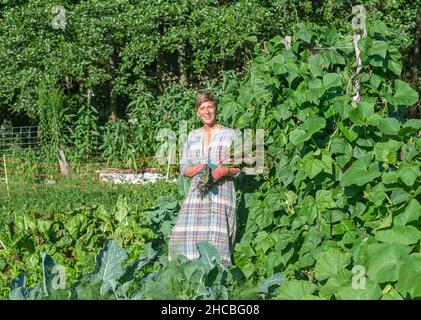 Azienda agricola che tiene la barba raccolta in orto Foto Stock