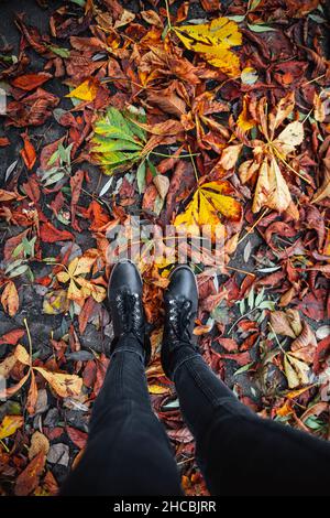 Donna in piedi su foglie autunnali nella foresta Foto Stock