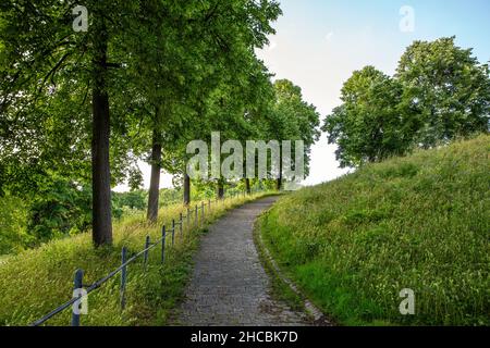 Germania, Baviera, Monaco, sentiero vuoto nel Westpark primavera Foto Stock