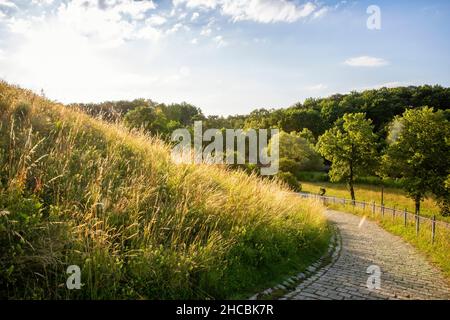 Germania, Baviera, Monaco, sentiero vuoto nel Westpark primavera Foto Stock