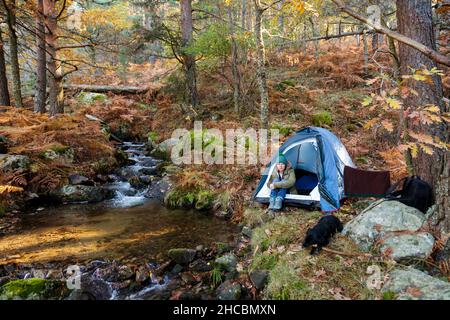 Donna seduta in tenda da ruscello nella foresta autunnale Foto Stock