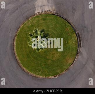 Portogallo, Azzorre, Vila Franca do campo, Drone vista del prato circolare e di una sola palma in mezzo al cerchio di traffico Foto Stock