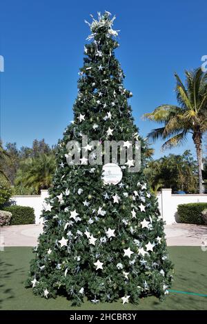 Un grande albero di Natale presso i giardini botanici della Florida a Largo, Florida. Foto Stock