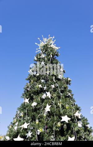 Un grande albero di Natale presso i giardini botanici della Florida a Largo, Florida. Foto Stock
