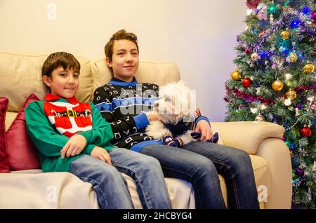 I fratelli si siedono insieme su un colono il giorno di Natale e coccolano il loro piccolo cane bianco cavapoo. Indossano i jumpers di Natale. Foto Stock