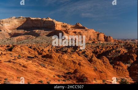 Famoso pendio di Coyote Butte nelle scogliere di Paria Canyon-Vermilion, Arizona, USA Foto Stock