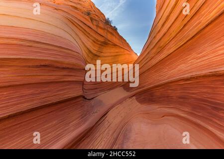 Famoso pendio di Coyote Butte nelle scogliere di Paria Canyon-Vermilion, Arizona, USA Foto Stock