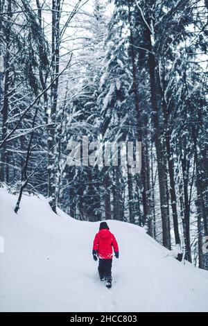 Una silhouette di un uomo che cammina da solo sulla neve nella foresta durante l'inverno. Banska Bystrica, Slovacchia Foto Stock