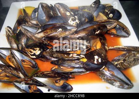 Filetto di branzino al forno sul grill in piatto bianco Foto Stock