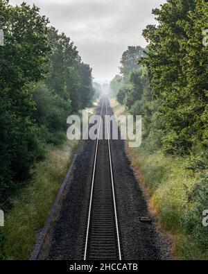 La linea principale dell'Inghilterra occidentale passa attraverso un viale di alberi a Motcombe nel Dorset. Foto Stock