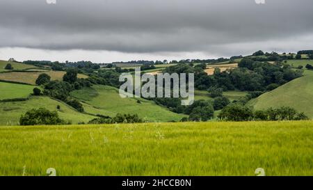 Gli alberi e i campi coprono le colline verdi e ondulate delle Cotswolds inglesi a nord di Bath nel Gloucestershire del Sud. Foto Stock