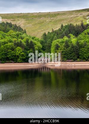 Il bosco forestale sorge sui pendii delle colline di brughiera sopra il serbatoio di Derwent nel Peak District del Derbyshire. Foto Stock