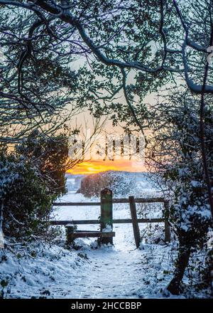 Snow si trova su un sentiero attraverso i campi nel paesaggio agricolo di Blackmore vale di Dorset. Foto Stock