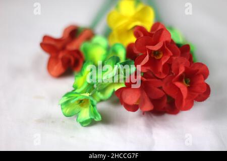 bellissimo fiore di giglio rosso con acqua Foto Stock