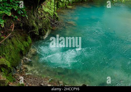 Le sorgenti di acqua calda che bolle sul fiume blu Rio Celeste, Parque Nacional Volcán Tenorio, Costa Rica, America Centrale Foto Stock