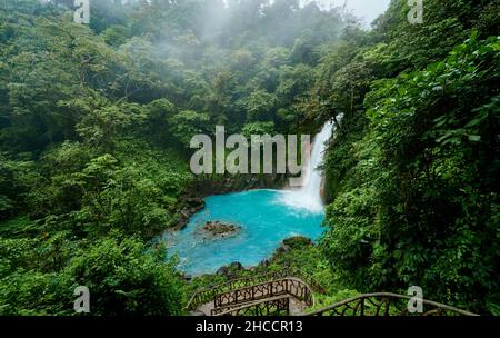 Catarata Río Celeste, cascata del fiume blu Rio Celeste, Parque Nacional Volcán Tenorio, Costa Rica, America Centrale Foto Stock