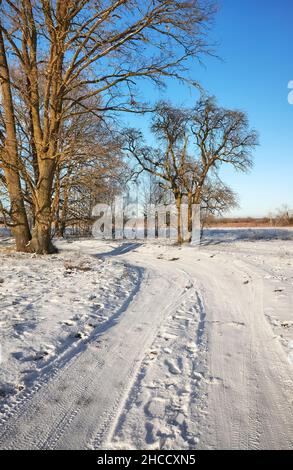 Bel paesaggio rurale invernale con strada di campagna coperta di neve in una giornata di sole. Foto Stock