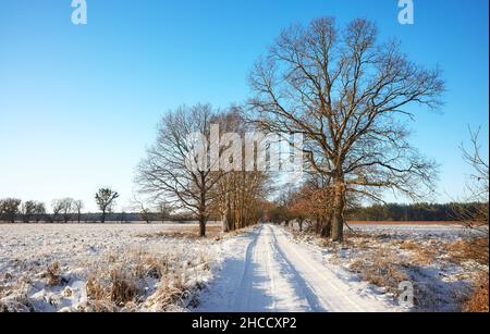 Bel paesaggio rurale invernale con strada di campagna coperta di neve in una giornata di sole. Foto Stock