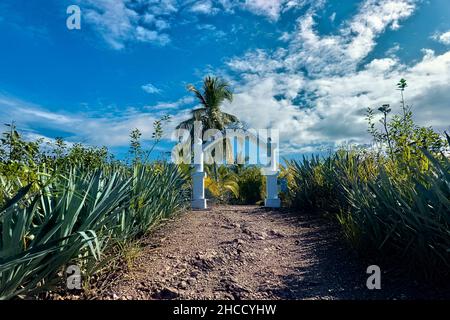 Ingresso all'unico Cimitero dell'Isola di Cabuya, raggiunto solo con la bassa marea, Penisola di Nicoya, Costa Rica Foto Stock