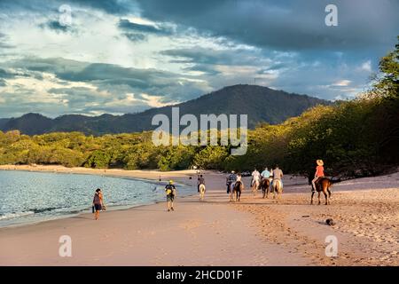 Equitazione a Playa Conchal, Guanacaste, Costa Rica Foto Stock