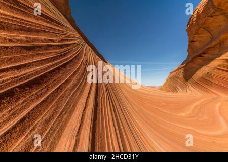 Famoso pendio di Coyote Butte nelle scogliere di Paria Canyon-Vermilion, Arizona, USA Foto Stock