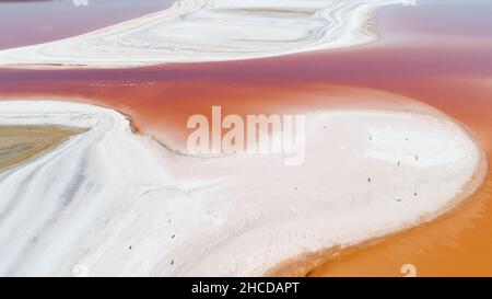 Lago Koyazhskoe nella Repubblica di Crimea in estate, vista dall'alto aerea. Paesaggio naturale mozzafiato del lago insolito rosa con sale bianco Foto Stock