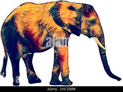 Varianti elefante africano Foto Stock