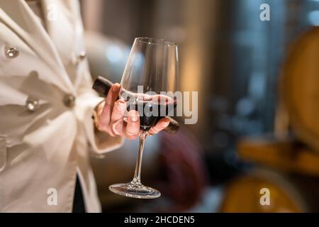 Sezione centrale di una donna caucasica sconosciuta che tiene in mano un bicchiere di vino rosso e un sigaro mentre si trova al coperto in cantina vista laterale copia spazio drink e c. Foto Stock