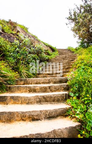 Volo di pochi passi da Turimetta Beach, nella periferia nord di Sydney. Foto Stock