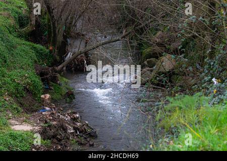 Inquinamento fluviale da materie plastiche dovuto ad azioni umane nell'ambiente. Foto Stock