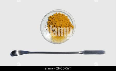 Polvere di Curcuma organico in vetro da orologio chimico posta accanto alla spatola in acciaio inox sul tavolo da laboratorio. Foto Stock
