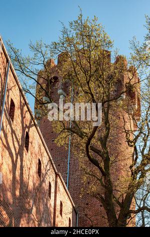 Torre dello storico Castello di Swiecie con mura in mattoni. Swiecie, Polonia Foto Stock