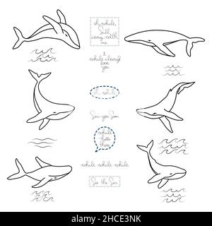 Set di sei whales humpback disegnati a mano lettere frasi e minimalista semplice varie onde contorno vettore logo illustrazione. Disegno isolato su bianco Illustrazione Vettoriale