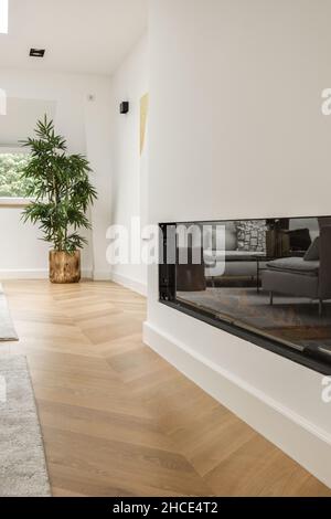 Appartamento interno contemporaneo con pareti bianche e camino artificiale e decorato con piante e tappeti Foto Stock