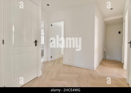 Corridoio con porte bianche classiche che conducono alla camera da letto in spazioso appartamento moderno e luminoso con parquet a casa Foto Stock