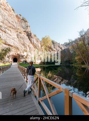 Vista posteriore di una donna irriconoscibile a corpo intero con cane in piedi su un ponte pedonale di legno e godendo il pittoresco scenario di montagne e il tranquillo fiume in St Foto Stock