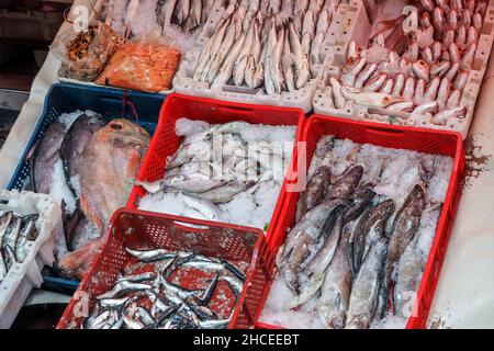 Mucchio di pesci vari in scatole di plastica con ghiaccio in mostra al mercato di strada - Marrakech Marocco Foto Stock