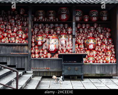 Bambole Daruma a Katsuo-ji. Tempio a Minoh, Giappone. Foto Stock