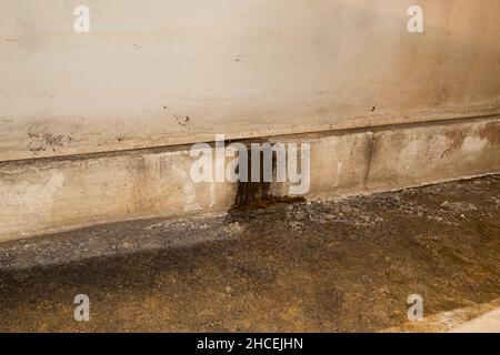 Acqua che perde attraverso il muro di fondazione in crawlspace di casa. Riparazione domestica, impermeabilizzazione seminterrato e concetto di danno di muffa. Foto Stock