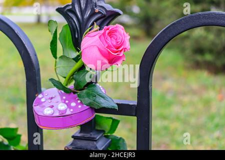 Tradizione di nozze. Una rosa delicata e un lucchetto sono tradizionalmente attaccati alla ringhiera Foto Stock