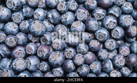 Sfondo o mirtilli freschi. Concetto vegano e vegetariano. Macroscopura di mirtilli. Estate cibo sano. Foto Stock