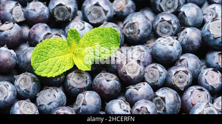 Mirtilli freschi con sfondo o foglie di menta. Concetto vegano e vegetariano. Macroscopura di mirtilli. Estate cibo sano. Foto Stock