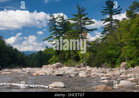Il roccioso East Branch Pemigewasset River a livermore, New hampshire, in una giornata di sole. Foto Stock