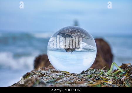 Globo di vetro sulla spiaggia del Mar Baltico in Zingst in cui è raffigurato il paesaggio. Il tramonto crea un'atmosfera calda e luminosa Foto Stock