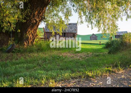 Scena rurale fattoria vista da Palouse nello stato di Washington in una mattinata di sole Foto Stock