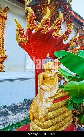 La scultura del Buddha di Gautama, sormontata da una cobra Naga Mucalinda a sette teste, situata nel giardino di Wat Puak Hom, Chiang mai, Thailandia Foto Stock