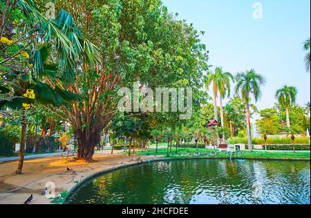 Il parco pubblico Buak Hard è il luogo perfetto per passeggiate, jogging, picnic in famiglia e relax all'ombra di alberi sulla riva del laghetto fresco, Chiang mai, Th Foto Stock