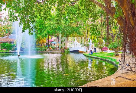 Radici aeree di banyan albero, prati verdi e lussureggiante verde tropicale intorno alla fontana nel Parco pubblico Buak Hard, Chiang mai, Thailandia Foto Stock