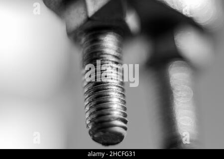 Primo piano immagine in scala di grigi di una vite metallica su uno sfondo sfocato Foto Stock