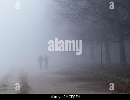 Camminando nella fitta nebbia lungo la riva del po, Cremona. Foto Stock